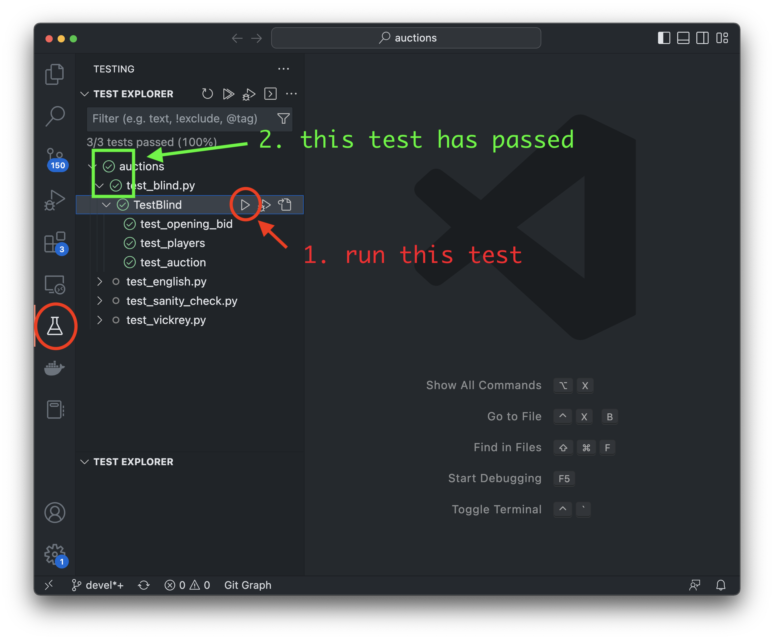 ../../_images/vscode-test-explore.png