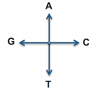 ../../_images/adnwalk-directions.png